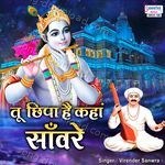 Tu Chhipa Hai Kaha Sanware - Virender Sanwra Song Download